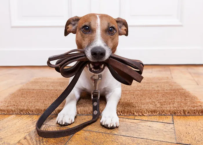 Apartment Club House By Schladming-appartements *